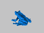 2color_treefrog_small_solid