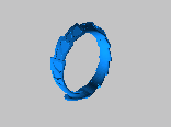 Carapace_Ring__-_mk_II_-_Thin_-_Size_10-10_one_quarter