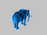 elephant_small