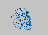 Polygon_Mask_wire_repaired