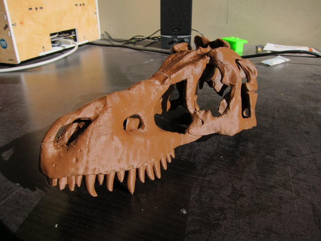 恐龙头盖骨模型