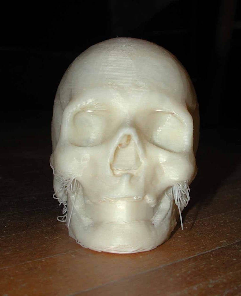 骷髅头，人头骨模型