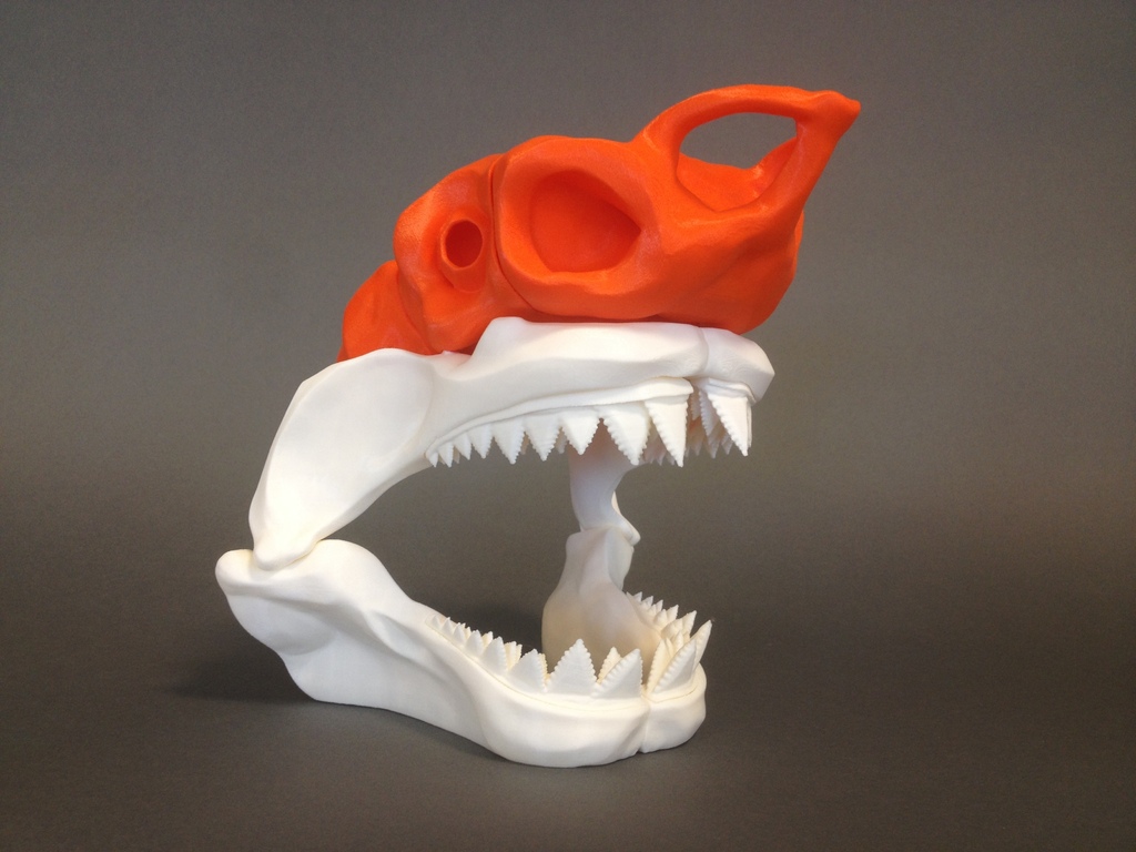 恐龙牙骨模型