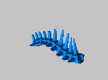 恐龙全身骨架模型2