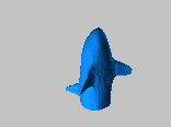 鲨鱼1