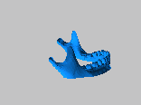 人类头骨与牙齿3