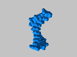 DNA分子1