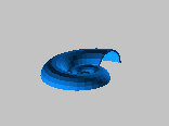 鹦鹉螺的壳1